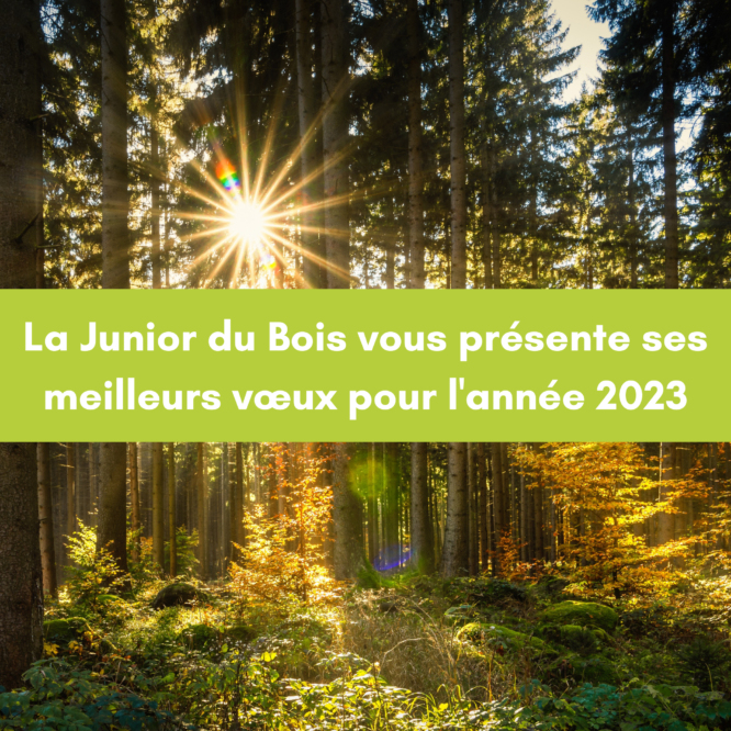 Les vœux 2023 !